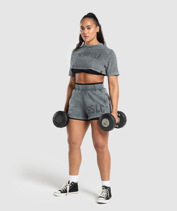 Collegiate Shadow Washed Crop Top - Image 4